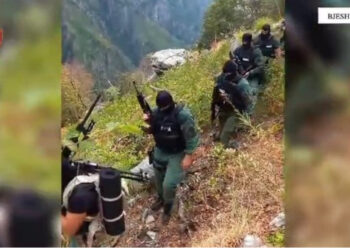 Operacioni anti-kanabis në Malësi të Madhe/ Policia: Trafikantët qëlluan në ajër