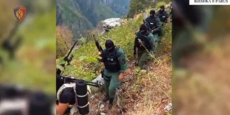 Operacioni anti-kanabis në Malësi të Madhe/ Policia: Trafikantët qëlluan në ajër