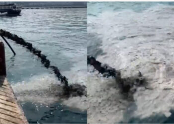 Vlorë, derdhën ujërat e ndotura në det, procedohet drejtori i kompanisë së ndërtimit