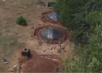 EMRAT/ Prisnin pemët për qymyr, prangosen dy persona në Dibër, nis procedimi edhe për “specialistin e pyjeve”