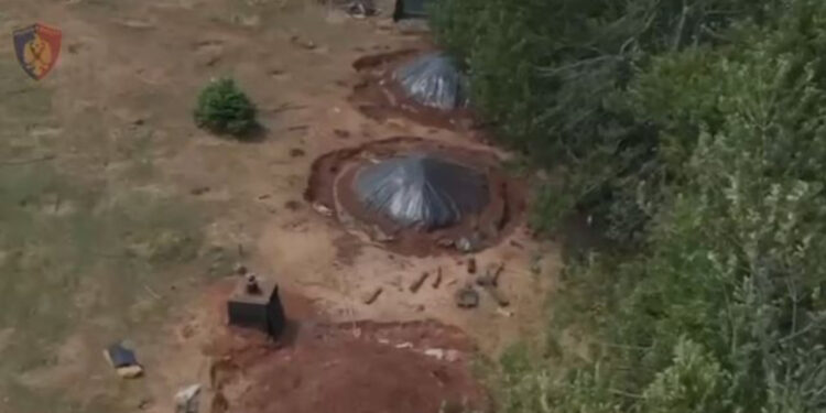 EMRAT/ Prisnin pemët për qymyr, prangosen dy persona në Dibër, nis procedimi edhe për “specialistin e pyjeve”