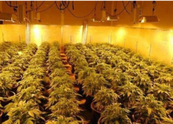 EMRI/ Mbërriti në Angli me kamion për të punuar në ‘shtëpi bari’, arrestohet shqiptari