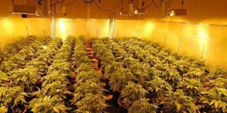 EMRI/ Mbërriti në Angli me kamion për të punuar në ‘shtëpi bari’, arrestohet shqiptari