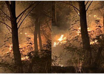 Zjarr pranë kalasë së Shën Triadhës, rrezikohen fshatrat dhe priten përforcime