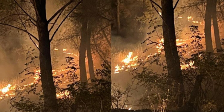 Zjarr pranë kalasë së Shën Triadhës, rrezikohen fshatrat dhe priten përforcime