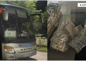 Tentoi të kontrabandojë 50 pako me medikamente, arrestohet 33-vjeçari