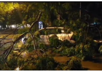 Stuhia shkakton dëme edhe në Elbasan/ Pemë të thyera dhe makina të dëmtuara