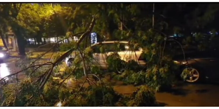 Stuhia shkakton dëme edhe në Elbasan/ Pemë të thyera dhe makina të dëmtuara
