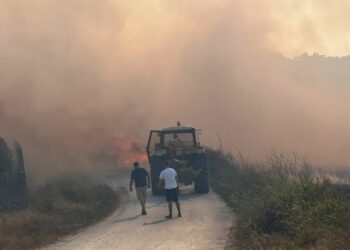 Zjarr masiv pranë plazhit të Gjeneralit, rrezikohen banesat pranë vatrës së flakëve