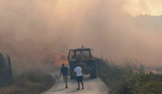 Zjarr masiv pranë plazhit të Gjeneralit, rrezikohen banesat pranë vatrës së flakëve