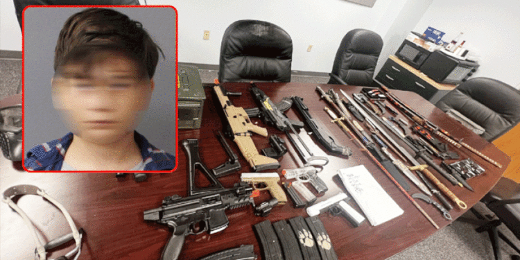 VIDEO/ Vetëm 11 vjeç, por kishte bërë plan të vriste gjysmën e klasës!