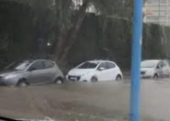 VIDEO/ Pas Italisë, stuhia godet edhe Francën, uji merr edhe makinat!