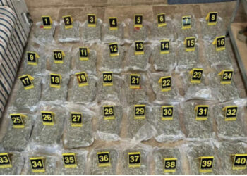 Kapen 66 kg marijuanë në Mal të Zi, dy trafikantë arratisen në Shqipëri