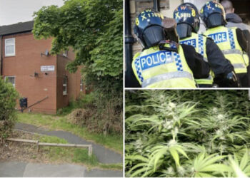 Dy shqiptarë dënohen me 14 muaj burg për kanabis dhe para në Angli