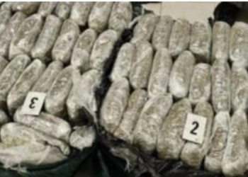 U kap me rreth 95 kilogramë drogë, arrestohet shqiptari në Malin e Zi