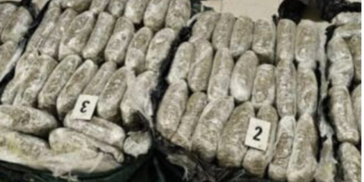 U kap me rreth 95 kilogramë drogë, arrestohet shqiptari në Malin e Zi