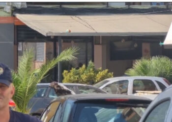 U plagosën dy persona/ Detaje të reja nga ngjarja në Don Bosko, dyshohet për atentat