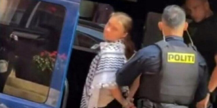 Protestë për armëpushim në Gaza, arrestohet Greta Thunberg