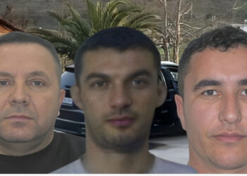 Plani i tmerrshëm për të vrarë Alibejn: “Me kamion dhe vaj të djegur, ose…”