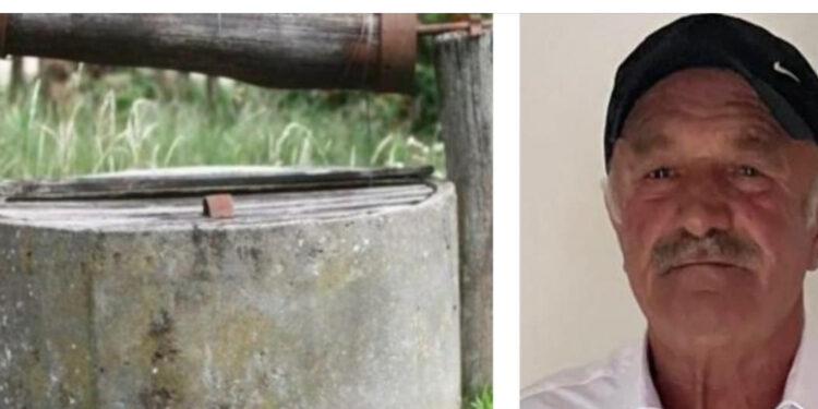 Berisha: Kryesia e PD angazhohet për rikthimin e votës së lirë të shqiptarëve