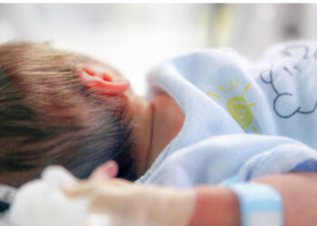 Cens 2023: 42.5% e femrave në moshë riprodhimi nuk kanë lindur fëmijë