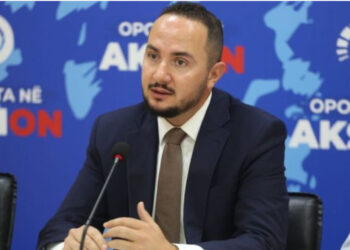 “Persona privatë morën akses në të dhënat e TIMS”, Salianji: U rrezikua siguria e vendit