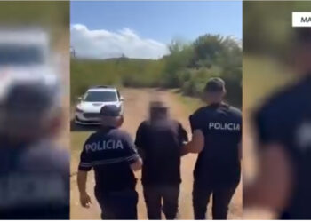 Arrestohet 68-vjeçari për kultivim kanabisi në Malësi të Madhe