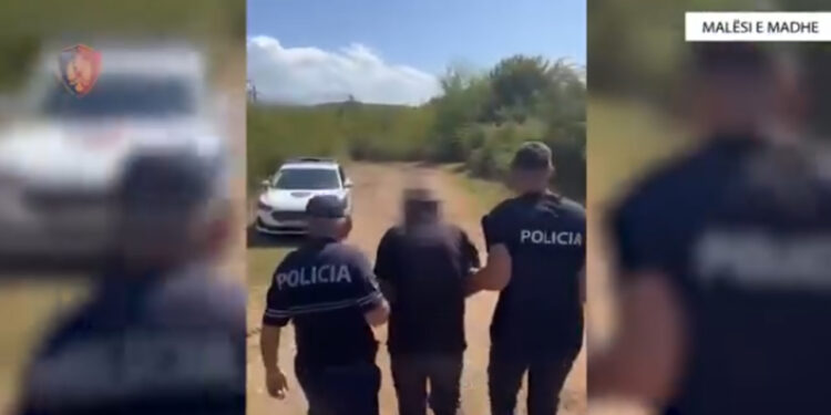 Arrestohet 68-vjeçari për kultivim kanabisi në Malësi të Madhe