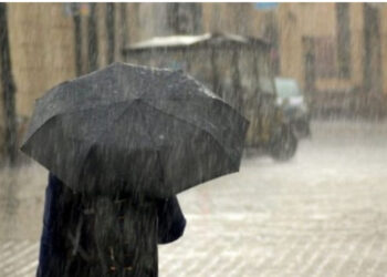 Bien temperaturat, java e ardhshme me reshje shiu