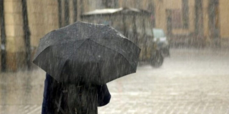 Bien temperaturat, java e ardhshme me reshje shiu