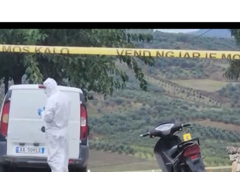 VIDEO/ Vrasja e dyfishtë në Roskovec të Fierit, pamjet nga vendi i ngjarjes