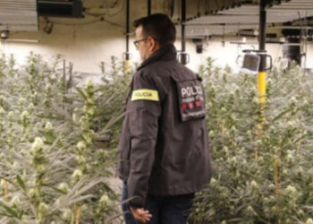 Shqiptarët dominojnë burgjet e Spanjës për krime droge