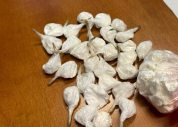 Arrestohet 21-vjeçari shqiptar në Itali me 46 doza kokainë