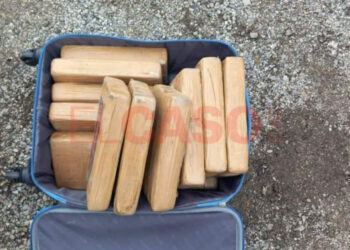 Lëviznin me drogë me vlerë 1 milion euro në makinë, arrestohen tre shqiptarët në Barcelonë