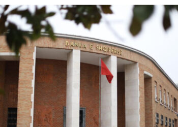 BSH përgatit ‘stuhinë’ për mikrofinancën: Jo më shumë se dy kredi njëkohësisht për çdo huamarrës