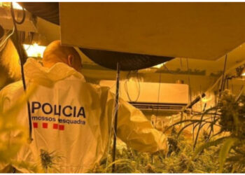 Arrestohet 29-vjeçari shqiptar në Spanjë pasi u kap në shtëpi bari