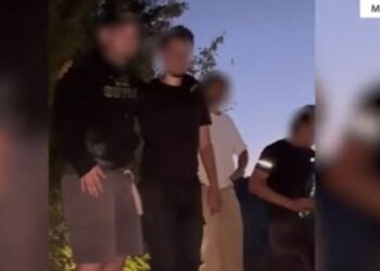 Policia ndihmon 8 turistë holandezë, njërin prej tyre e kishte pickuar gjarpri