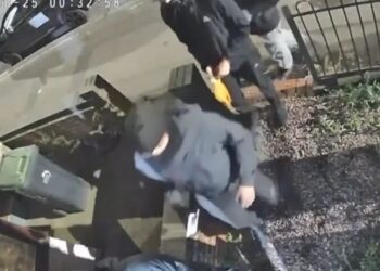 Media britanike ‘The Telegraph’: Si emigrantët shqiptarë pushtuan tregun e kanabisit në Britani