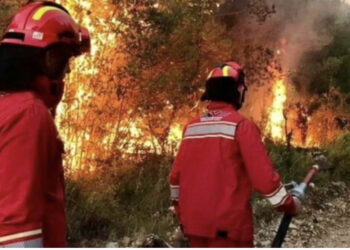 Zjarret në Greqi, Shqipëria i shkon në ndihmë me 30 efektivë zjarrfikës dhe 5 automjete