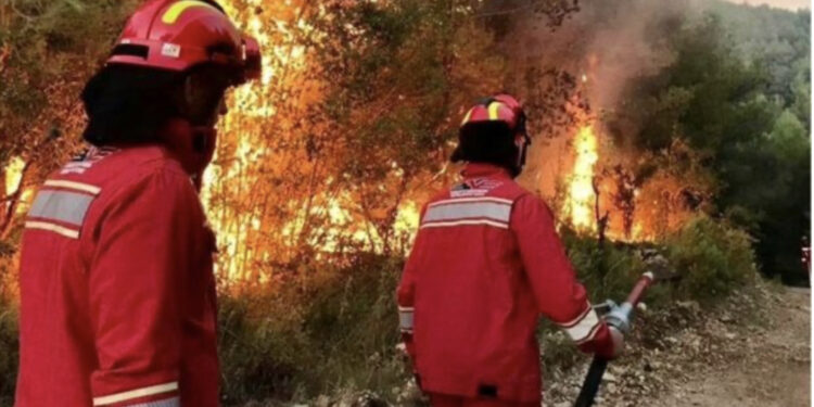 Zjarret në Greqi, Shqipëria i shkon në ndihmë me 30 efektivë zjarrfikës dhe 5 automjete