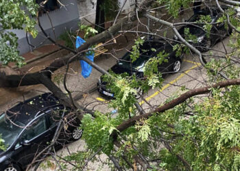 Rruga Myslym Shyri/ Stuhia e madhe rrëzon edhe pemët mbi makina!