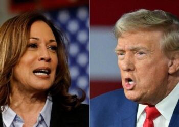 “Të shqetësuar për ekonominë, emigracionin, abortin dhe familjen!” VOA: Shqiptaro-amerikanët në Miçigan dhe zgjedhjet presidenciale