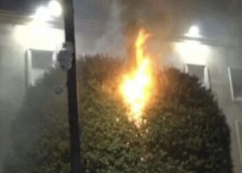 FOTO/ Shpërthimet e molotovëve, merr flakë pema pranë kryeministrisë