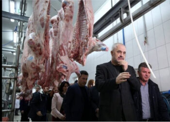 Bruceloza kalon nga kafshët tek njerëzit/ AKU dhe Edmond Rrushi po helmojnë shqiptarët me mish të sëmurë nga Greqia