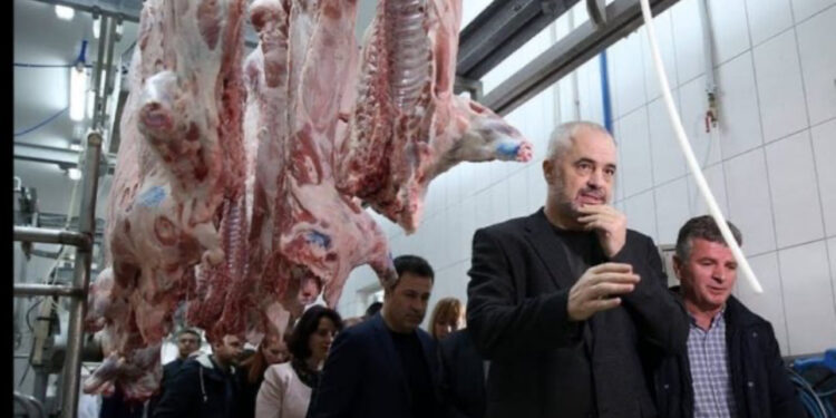 Bruceloza kalon nga kafshët tek njerëzit/ AKU dhe Edmond Rrushi po helmojnë shqiptarët me mish të sëmurë nga Greqia