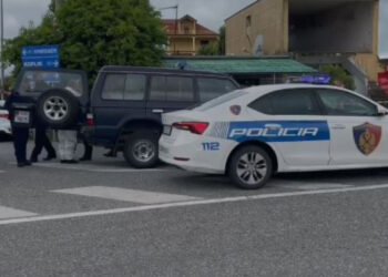 Sherr me plagosje në Vorë, zbulohen detaje të reja