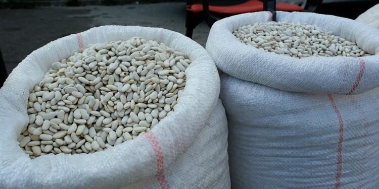 Fasulja kapin çmim rekord në Shqipëri/ Nuk do ta besoni sa kushton 1 kg groshë…