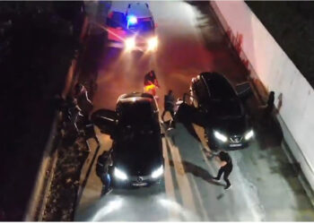 Dy operacione antidrogë, sekuestrohen 200 kg kanabis, 5 të arrestuar