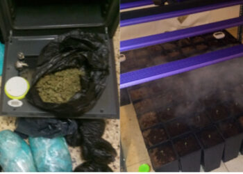 Kthyen apartamentin në shtëpi, shqiptari dhe bashkëpunëtori i tij e pësojnë keq në Greqi