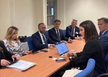 “Po synohet asgjësimi i opozitës!” Nesër protesta, grupi i PD-së nis vizitën në PE, Bardhi: Informuam “Renew Europe” për i situatën në Shqipëri, i paimagjinueshëm ekzekutimi i shtetit ligjor